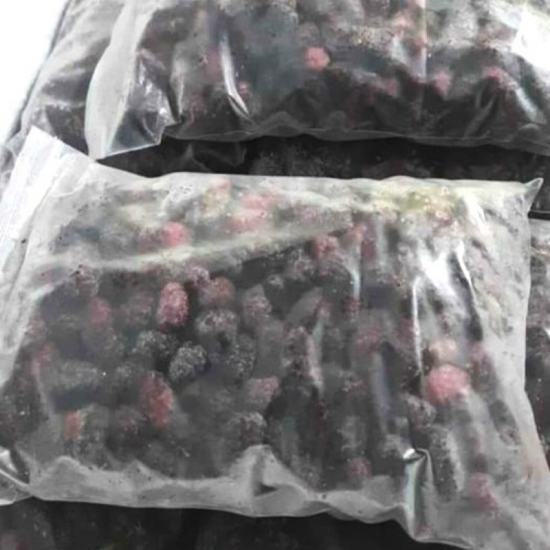 

BLACKBERRY FROZEN | BLACKBERRY BEKU | BLACKBERRY 1 kg | BLACKBERRY FROZEN BANDUNG