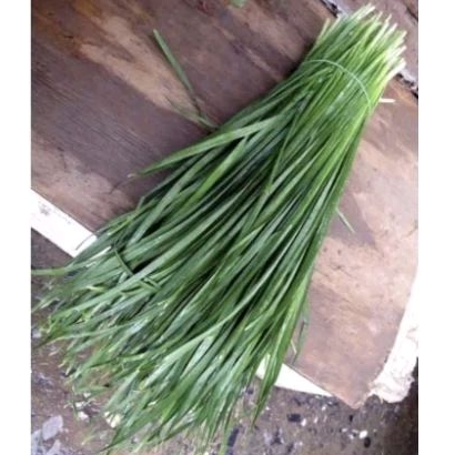 

Daun Kucai Khusus Bandung