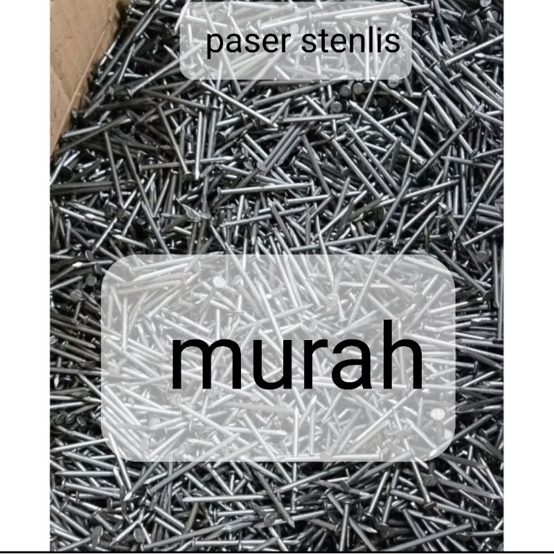 paku stenlis murah