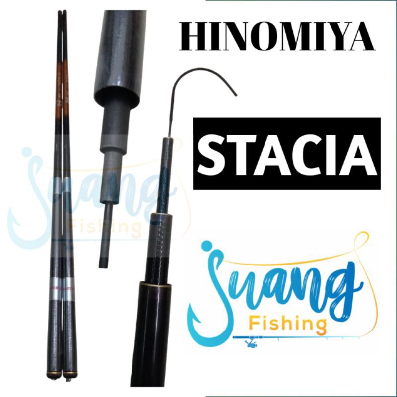 TEGEK HINOMIYA STACIA