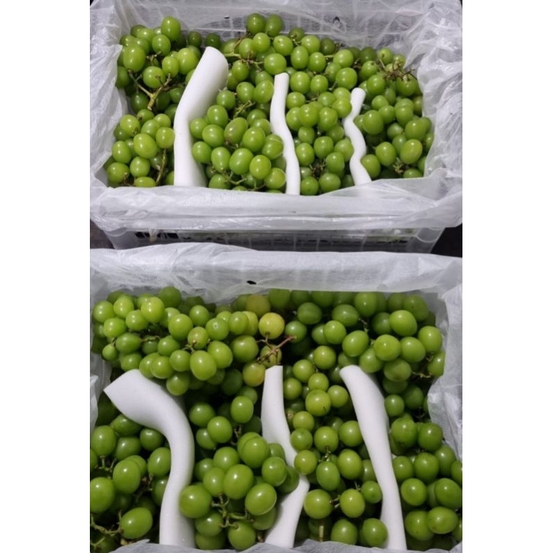

ANGGUR SHINE MUSCAT CURAH 5KG