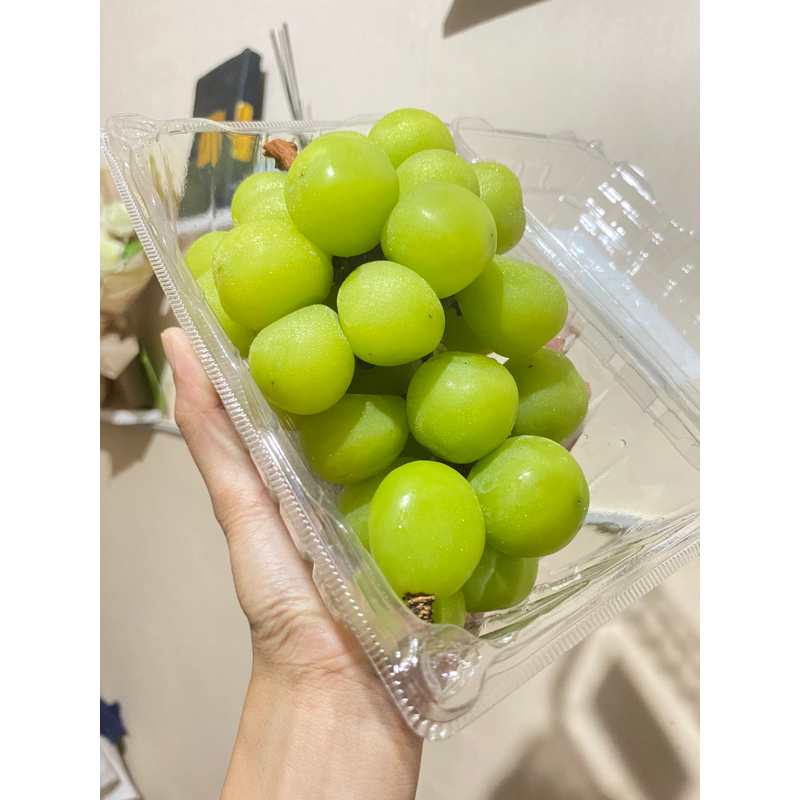 

ANGGUR HIJAU MUSCAT