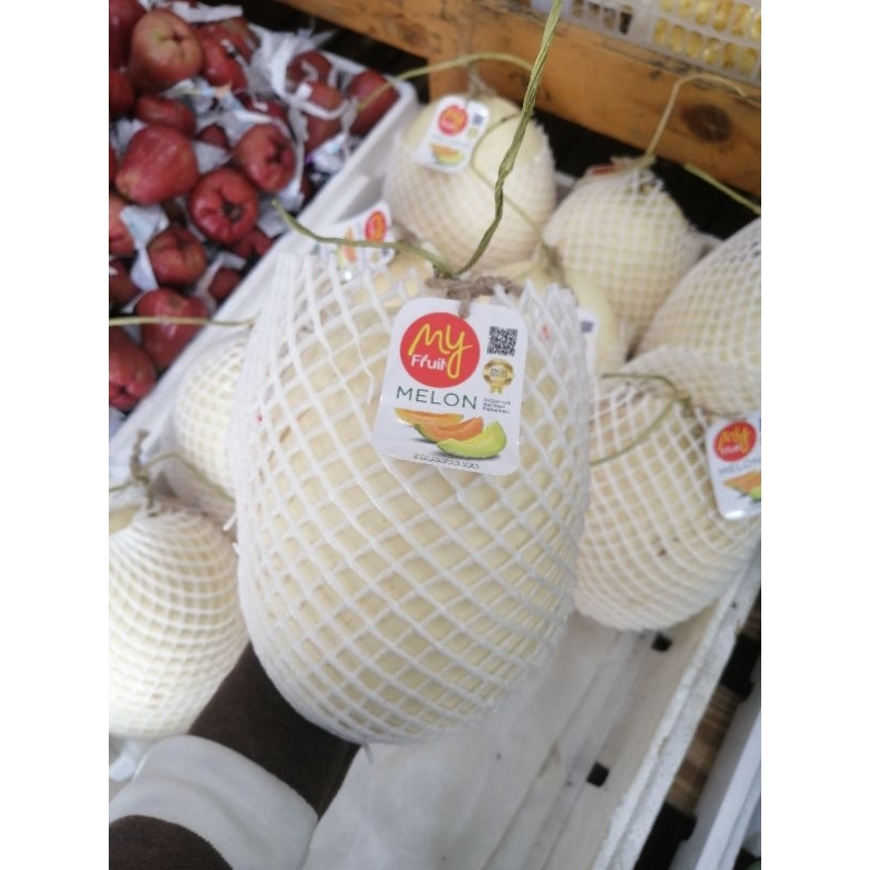 

Melon Honey Dew 1 buah