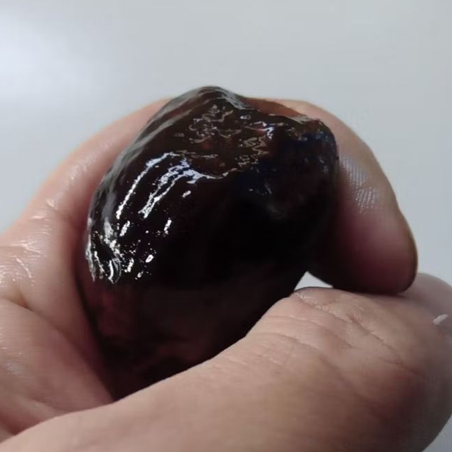 muncang adu jawa anak lk pasangan bagus