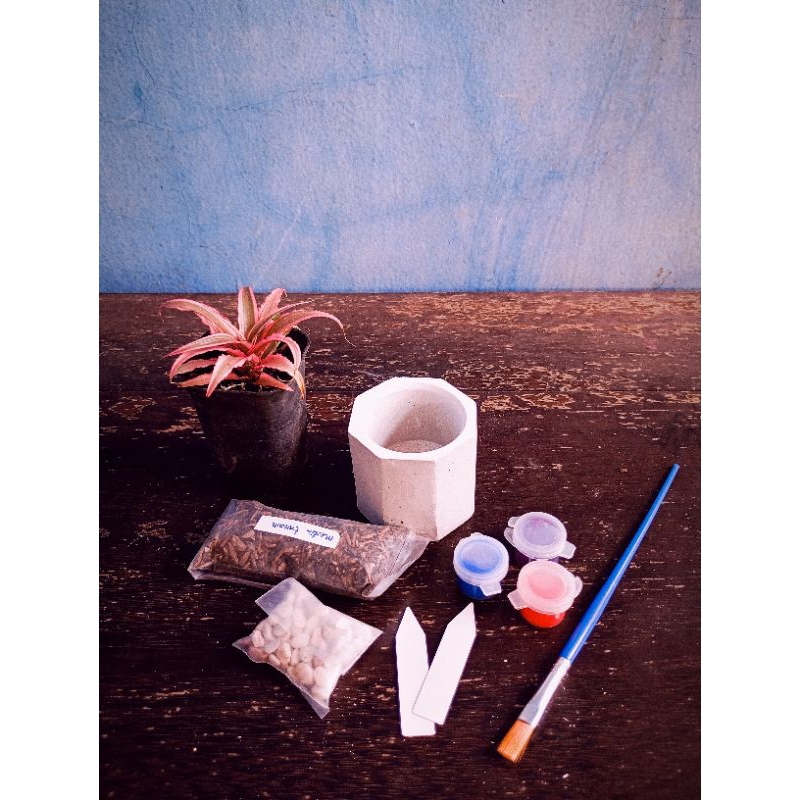 

Paket Lukis Kartini x Lusi