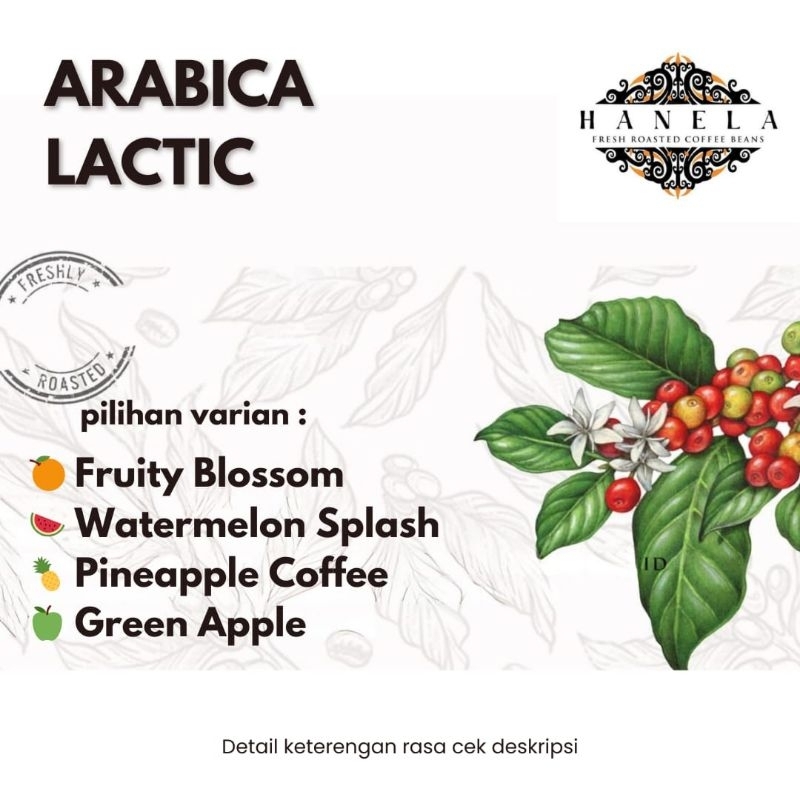 

BUBUK KOPI ARABIKA LACTID AROMA BUAH BUAHAN HANELA COFFEE