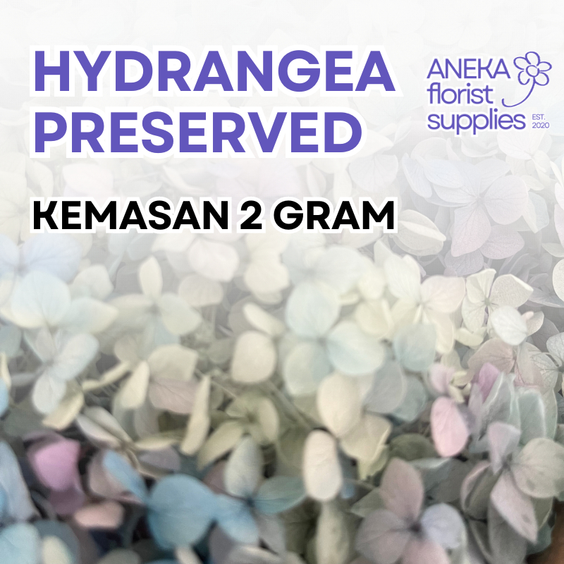 [2 GRAM] Hydrangea Preservasi Preserved Hydrangea Grade A Dried Flower Awetan Bunga Kering Bunga Hyd