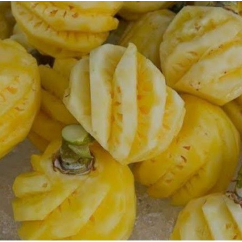 

Nanas Madu Skanera buah segar isi 3 per paket