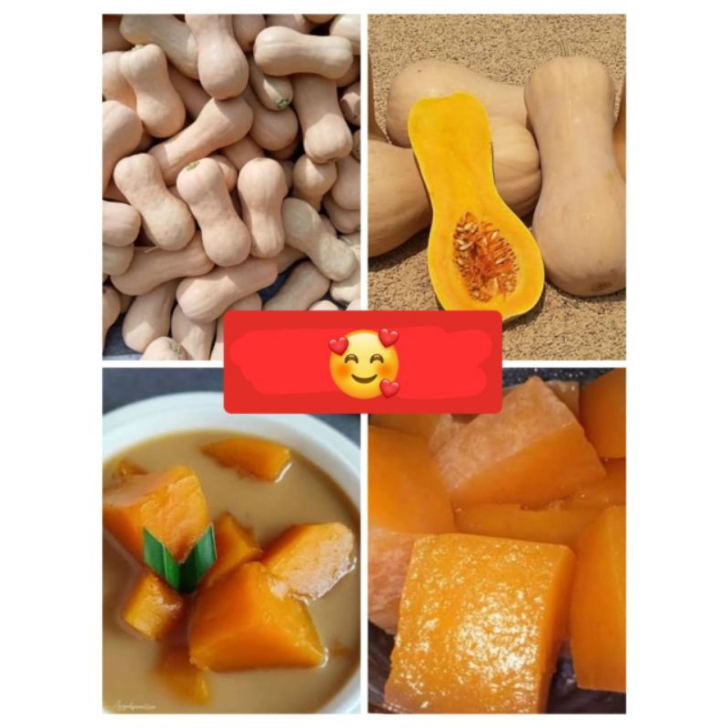 

labu madu 1 kg