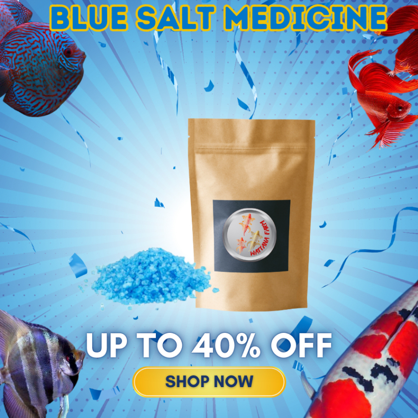 Garam Ikan Biru Blue Salt Menonaktifkan Bakteri - Mencegah & Mengobati Penyakit Ikan