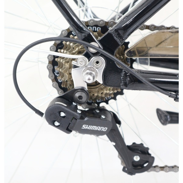 Sepeda Keranjang - Sepeda Polygon Lovina 26