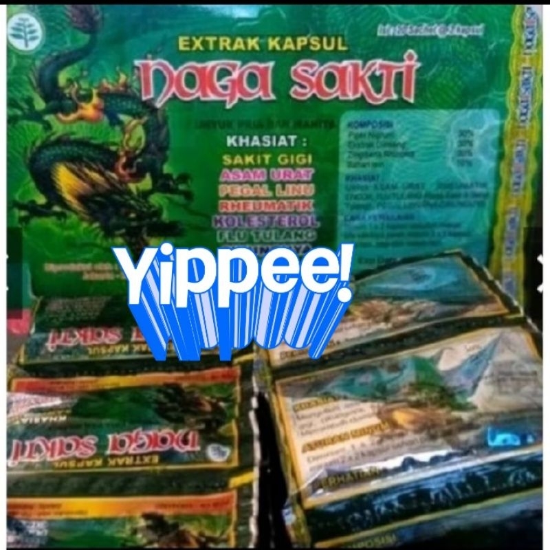 Obat Asam urat NAGA Sakti