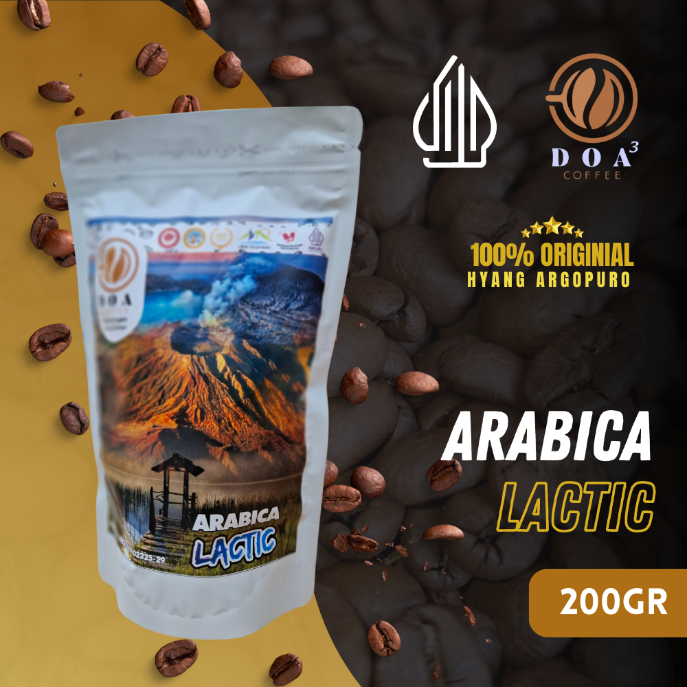 

ARABICA LACTIC COFFEE | 100% ORIGINAL HYANG ARGOPURO - DOA COFFEE