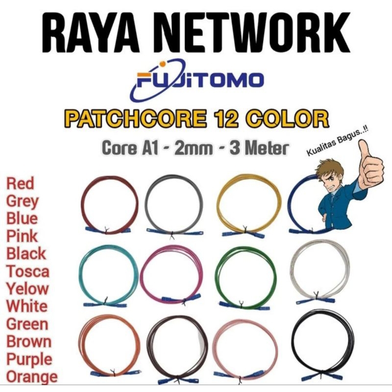 FUJITOMO Patchcore COLOR -