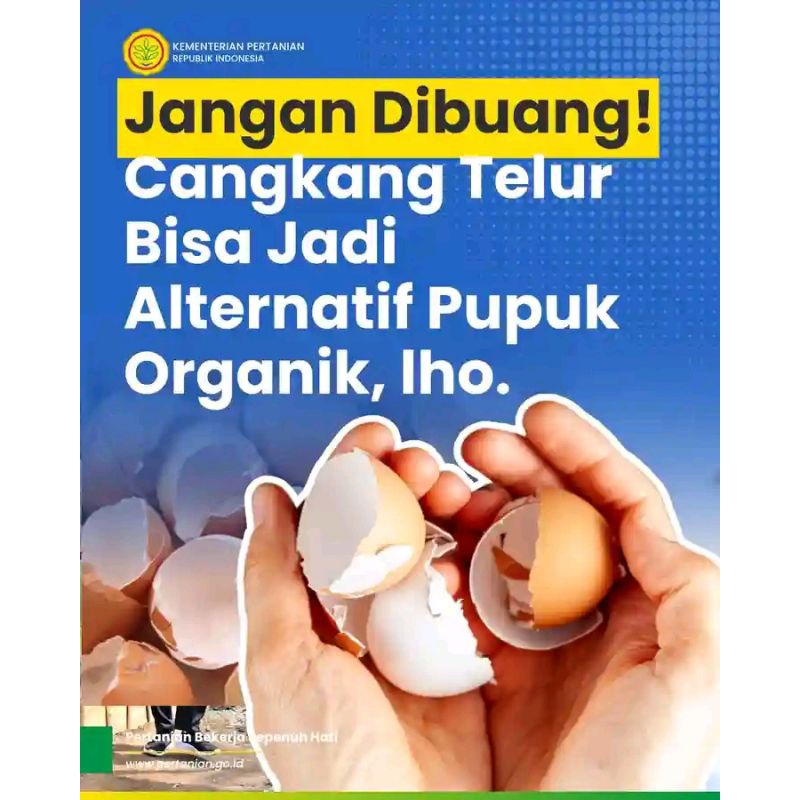 

1 kg cangkang telur ayam