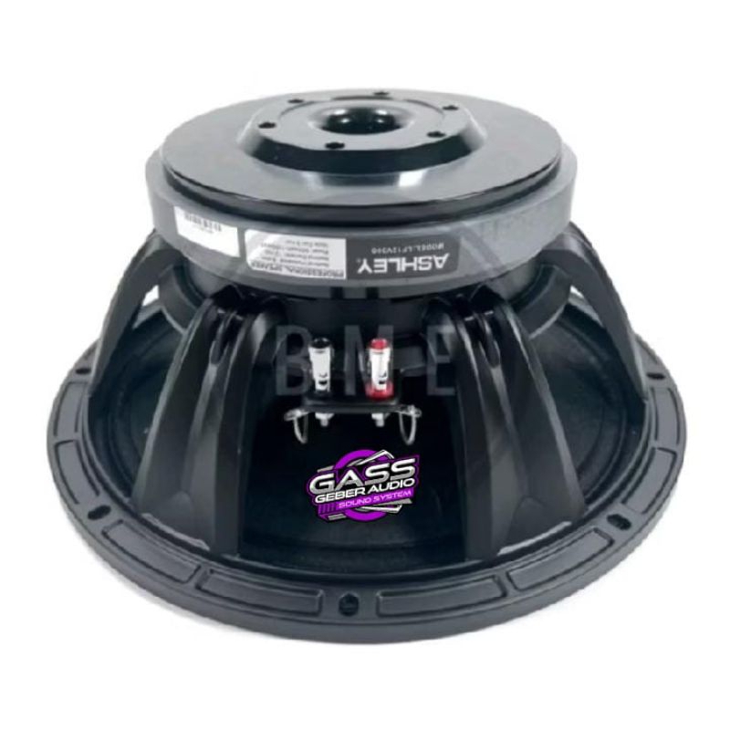 Speaker 12 inch ASHLEY 12V300