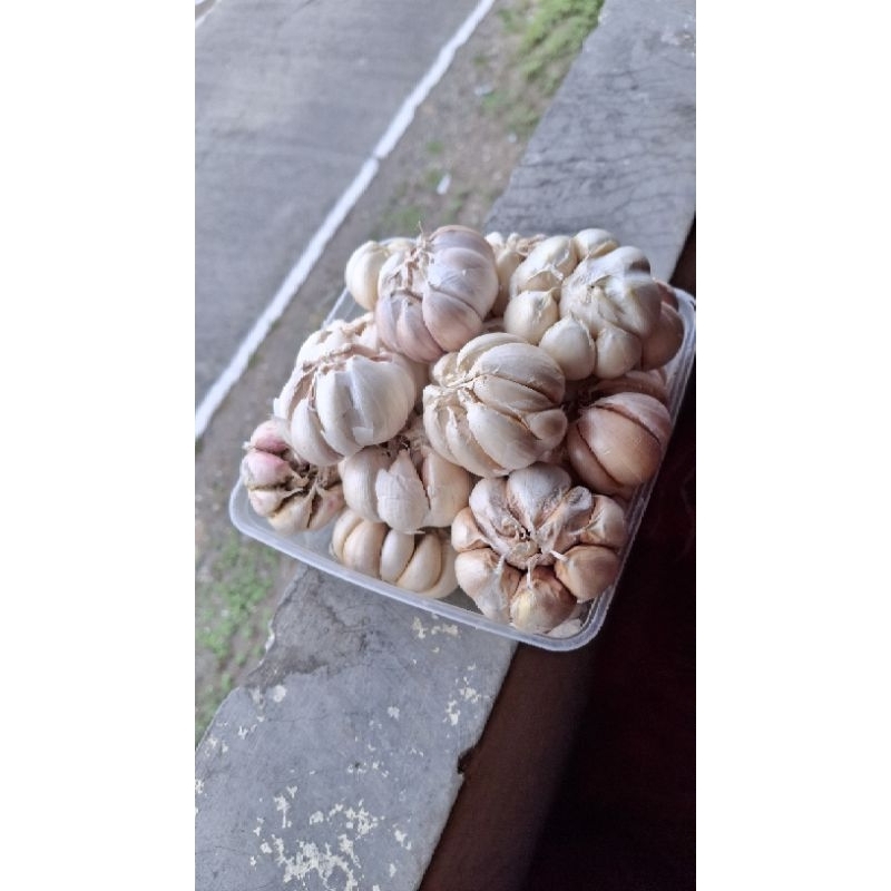 

Bawang 500 gr