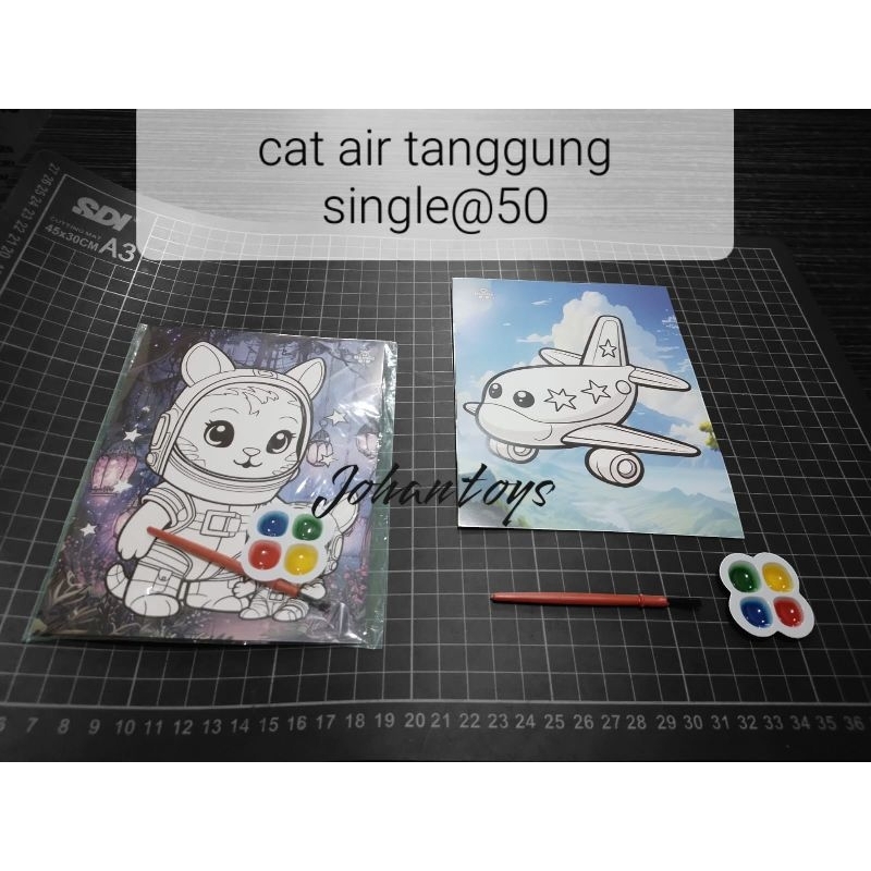 

50 PCS CAT AIR TANGGUNG KEMASAN MIX