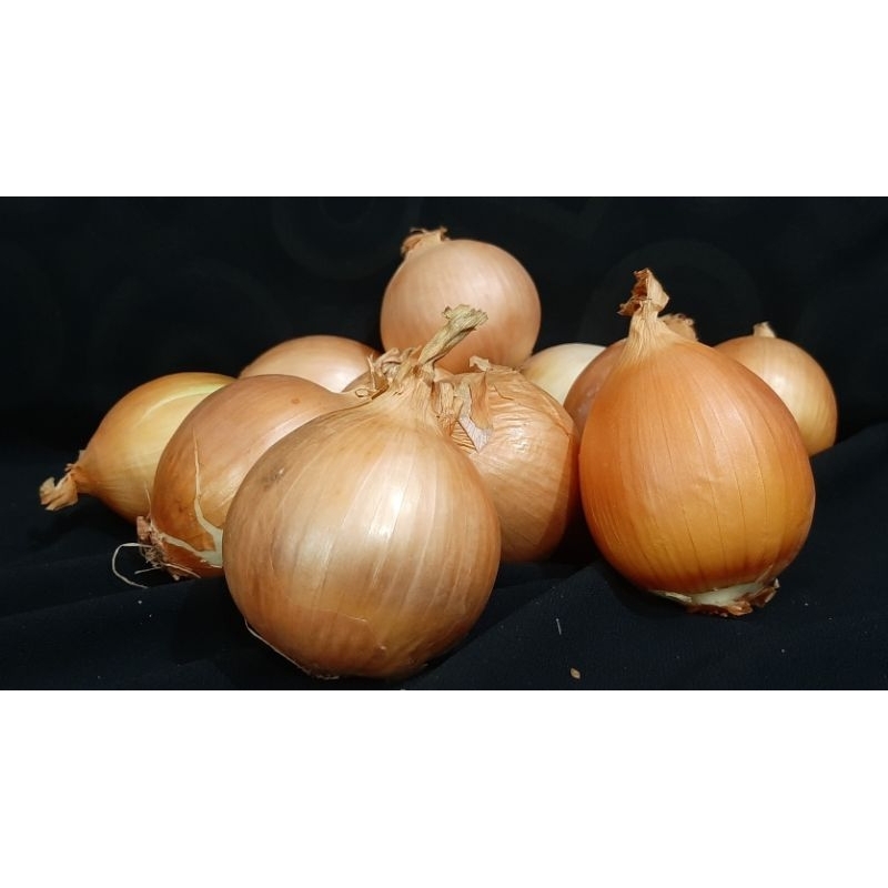 

Bawang Bombay 500 gram