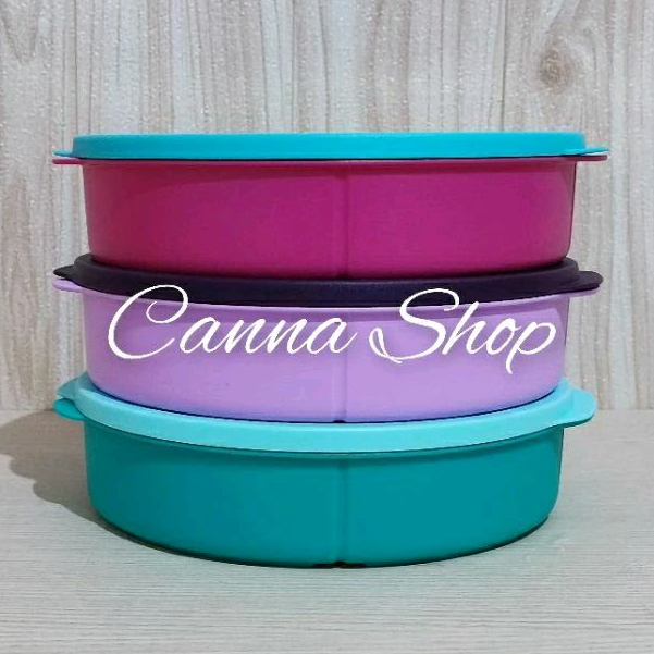 Fit To Go Lunch Box Tupperware