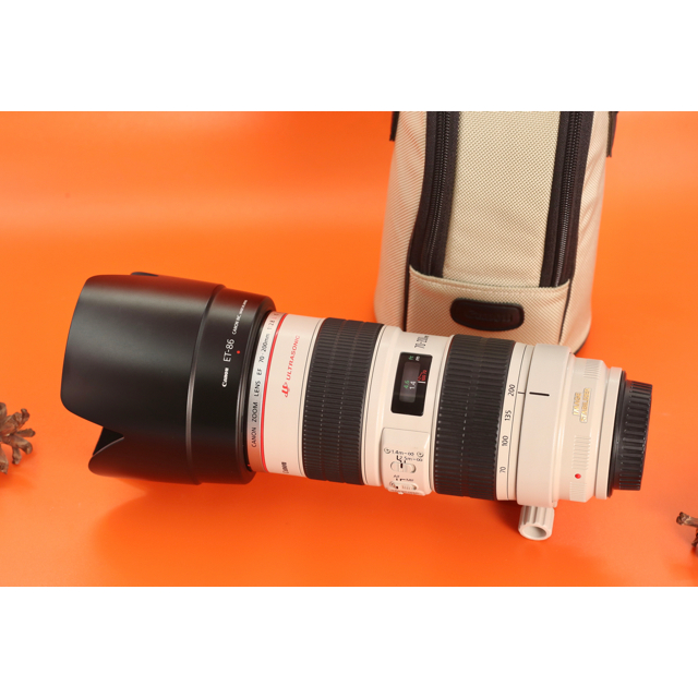 Canon EF 70-200mm F2.8 L IS USM C509