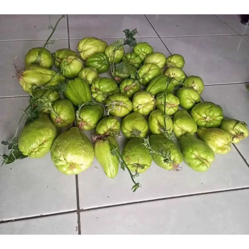 

Labu Siam jumbo