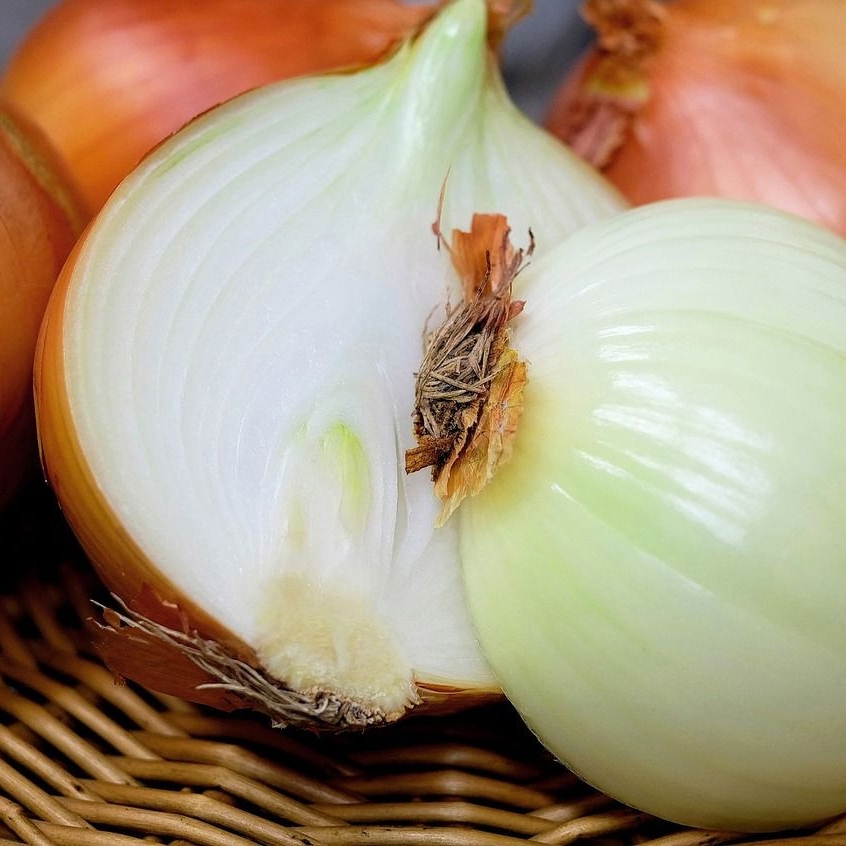 

Bawang Bombay Kualitas Grade A Harga Perbiji