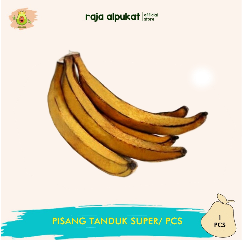 

Pisang Tanduk Super cocok untuk pisang goreng-pisang kukus-keripik pisang dll (1PCS)