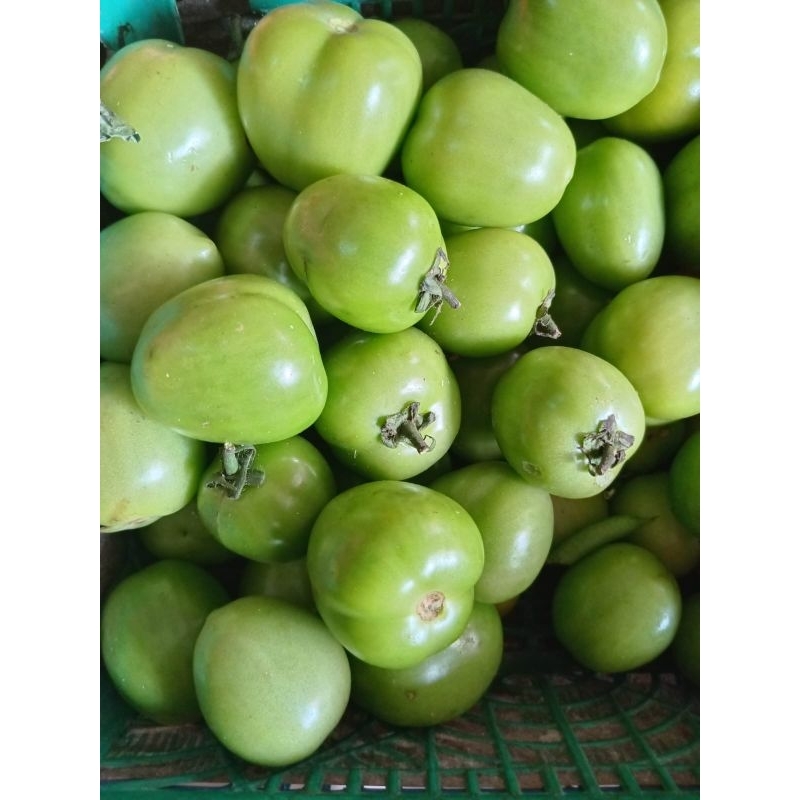 

Tomat hijau segar 250 gr