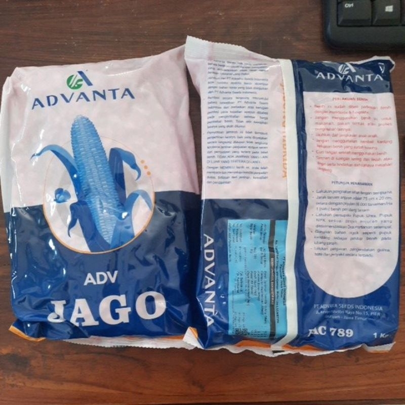 Benih Jagung Pipil Advanta JAGO 1kg