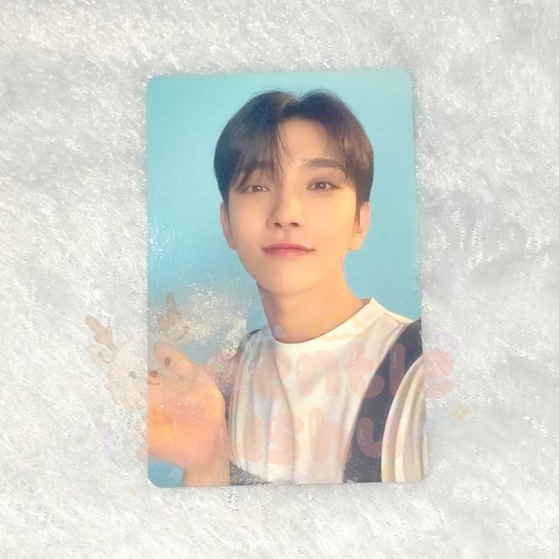 JOSHUA BUBBLE DREAM CARVER CARAT VER