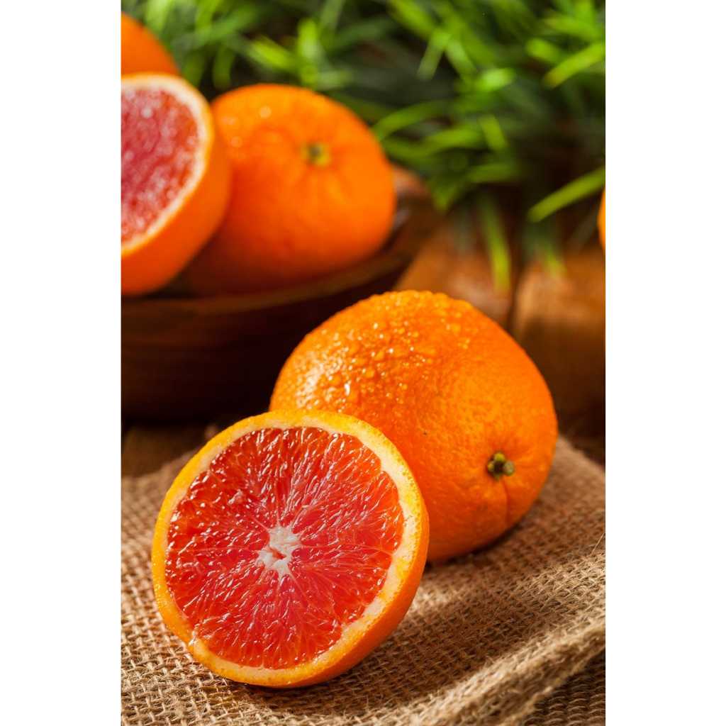 

Jeruk Cara Cara Pink Oranges IMPORT PREMIUM 850-900 gr