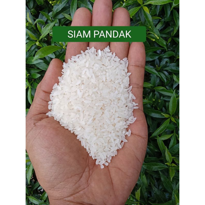 

BERAS SIAM BANJAR / BERAS HANYAR / BERAS BANJAR / BERAS MURAH / BERAS INSTANT / BERAS 1 LITER