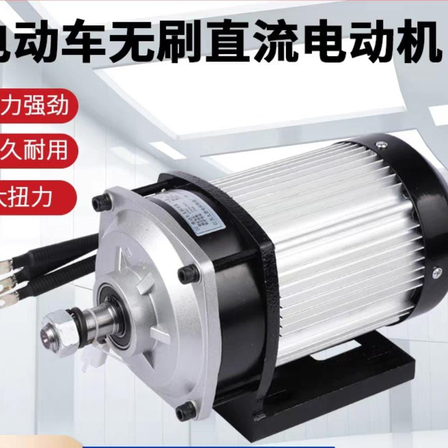 bldc gearbox 48v 1500w motor listrik brusless roda 3 dinamo listrik 3p