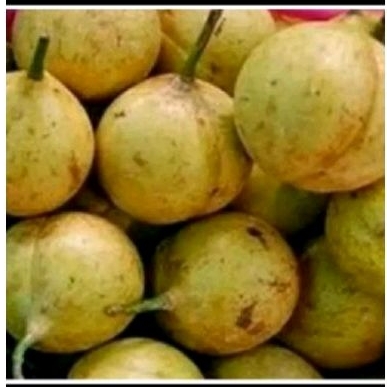 

Buah pala sgar 1kg utuk manisan