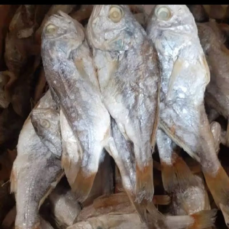 

Ikan Asin Kepala Batu Bulat Khas Medan Fresh 500 gram