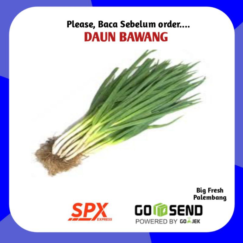 

Daun Bawang Segar Fresh 100gram 250gram - Sayur Segar Online Palembang