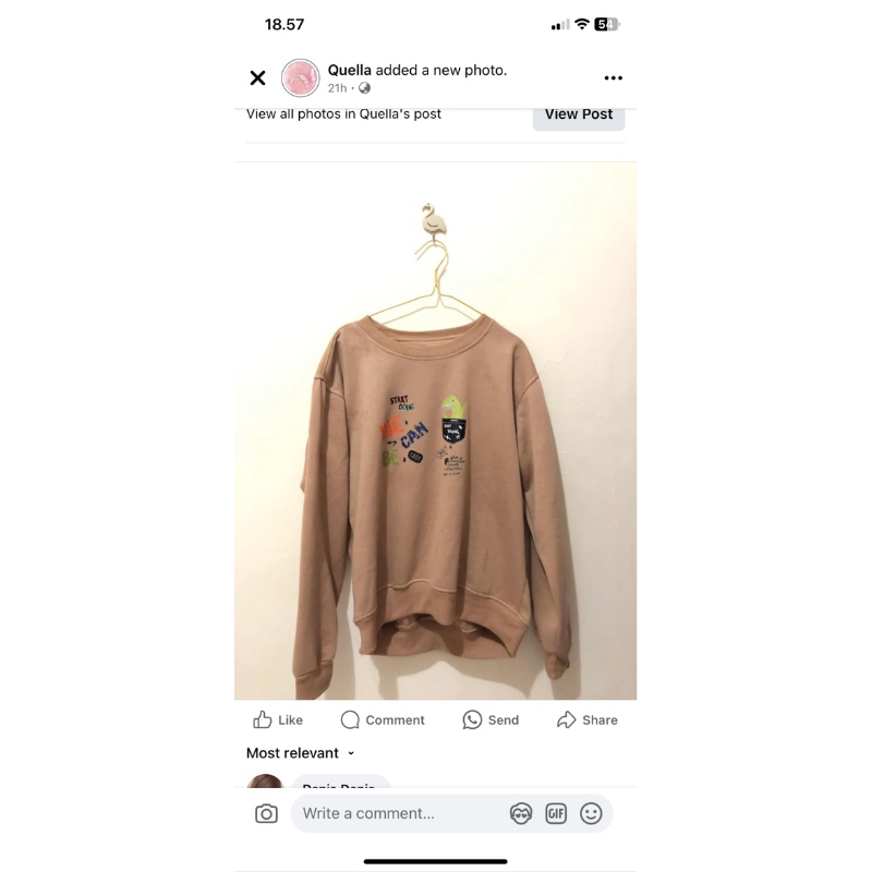 preloved sweater dino