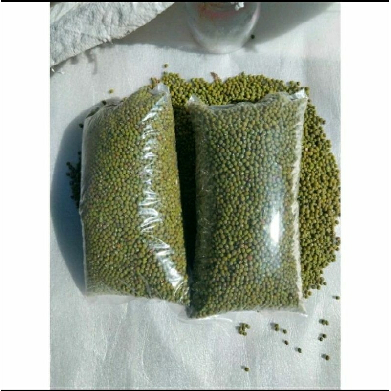 

ready kacang hijau baru panen oktober 2024