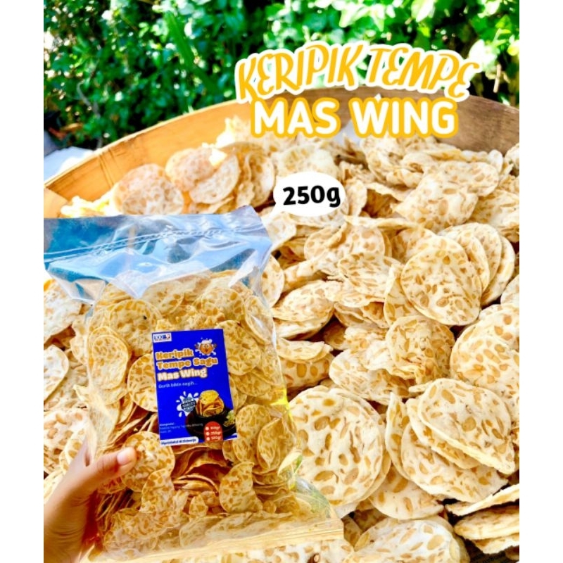 

KERIPIK TEMPE MAS WING gurih & bikin nagih (pack 250g) halal