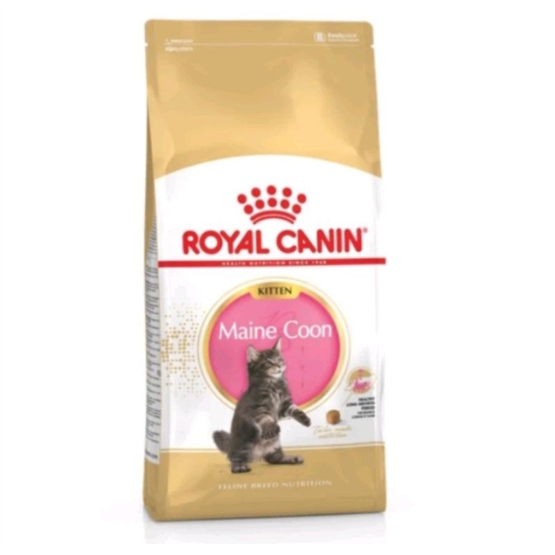 Royal Canin Maine Coon Kitten 2kg / Royal Canin Mainecoon kitten 2 kg