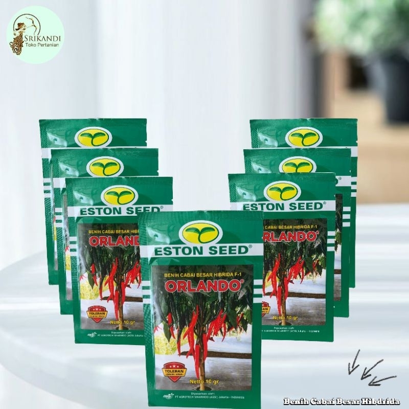 

Cabe Besar Orlando F1 Hibrida Toleran Virus 10gr Original Pabrik