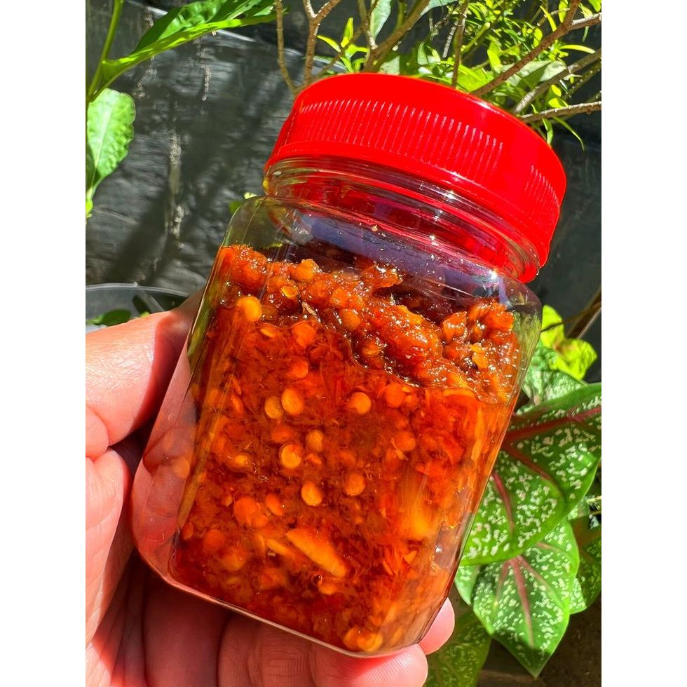 

SAMBAL BABY CUMI ASIN