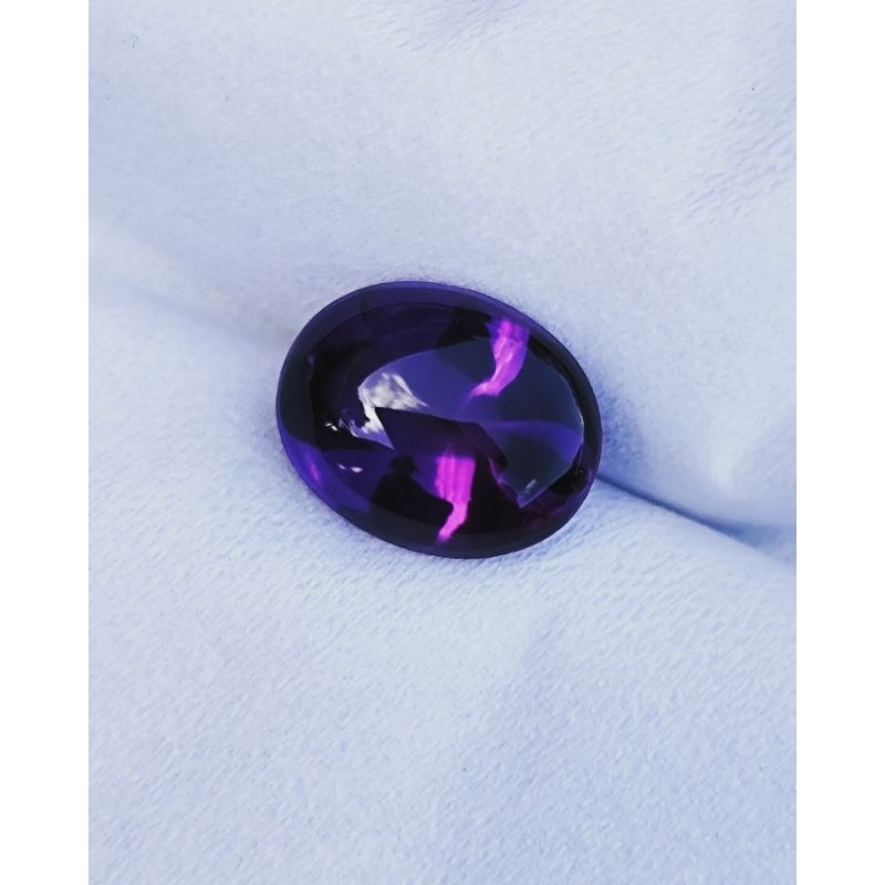 KECUBUNG UNGU THREE COLLOR KECUBUNG UNGU KALIMANTAN