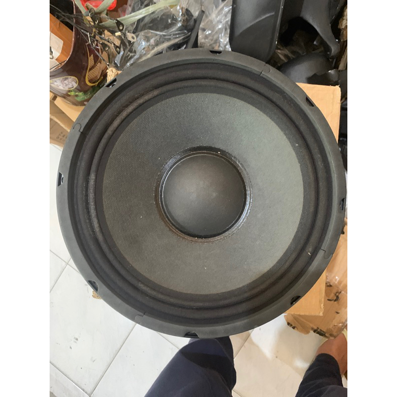 Speaker Fostex 10in B 1003