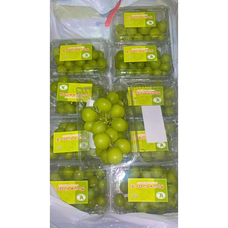 

ANGGUR MUSCAT PEMIUM SUPERR 500 GRAM SYEGERRRR