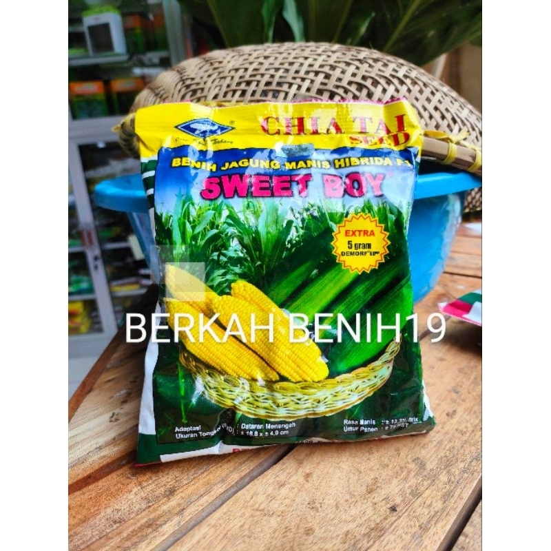 PROMO RIPACK- 250gr JAGUNG MANIS SWEET BOY SIAP TANAM