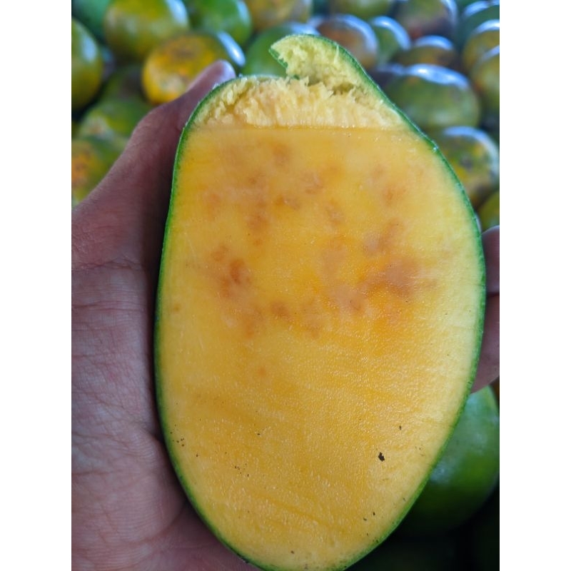 

Mangga manalagi 1kilo bisa request matang/stgh matang/mentah(rujakan)