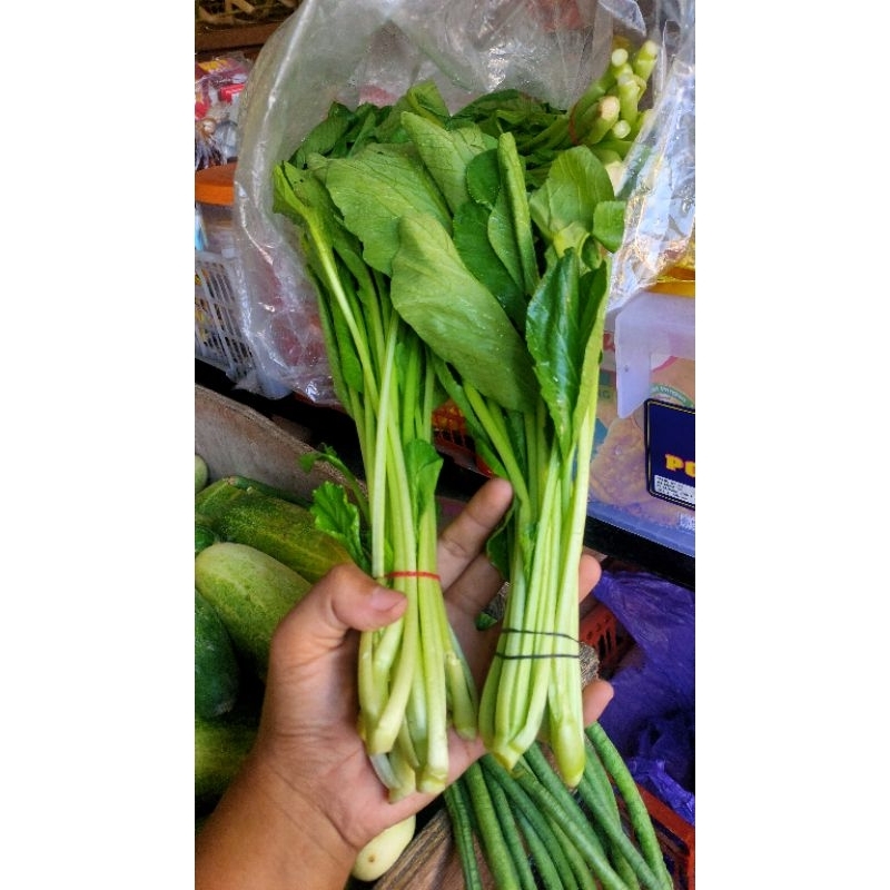 

COD INSTAN 5000 3ikat sayur hijau sawi hijau