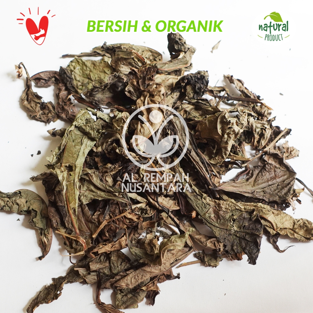 

Daun Srigunggu 1kg Kering - Senggugu Bersih dan Organik